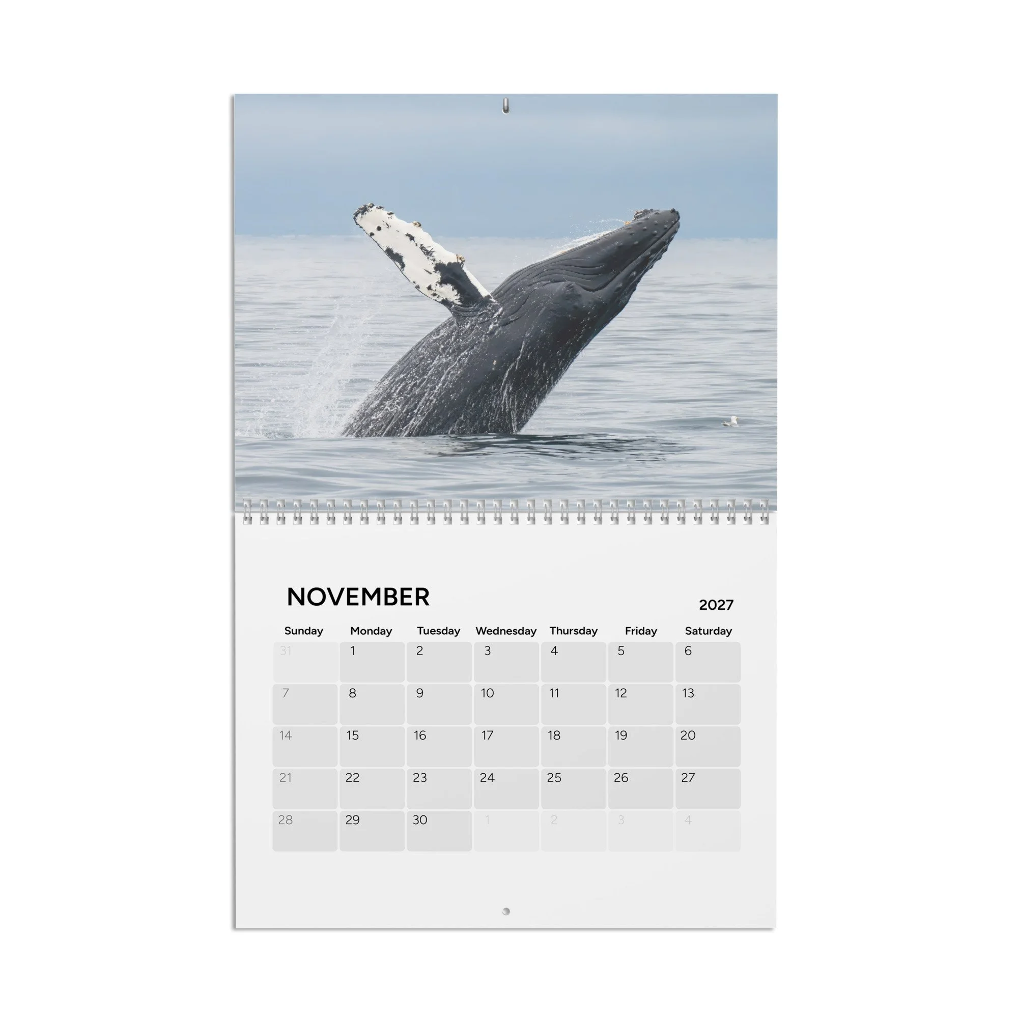calendar-(2027)-10.8x8.4-front-6accb3588173d.jpg