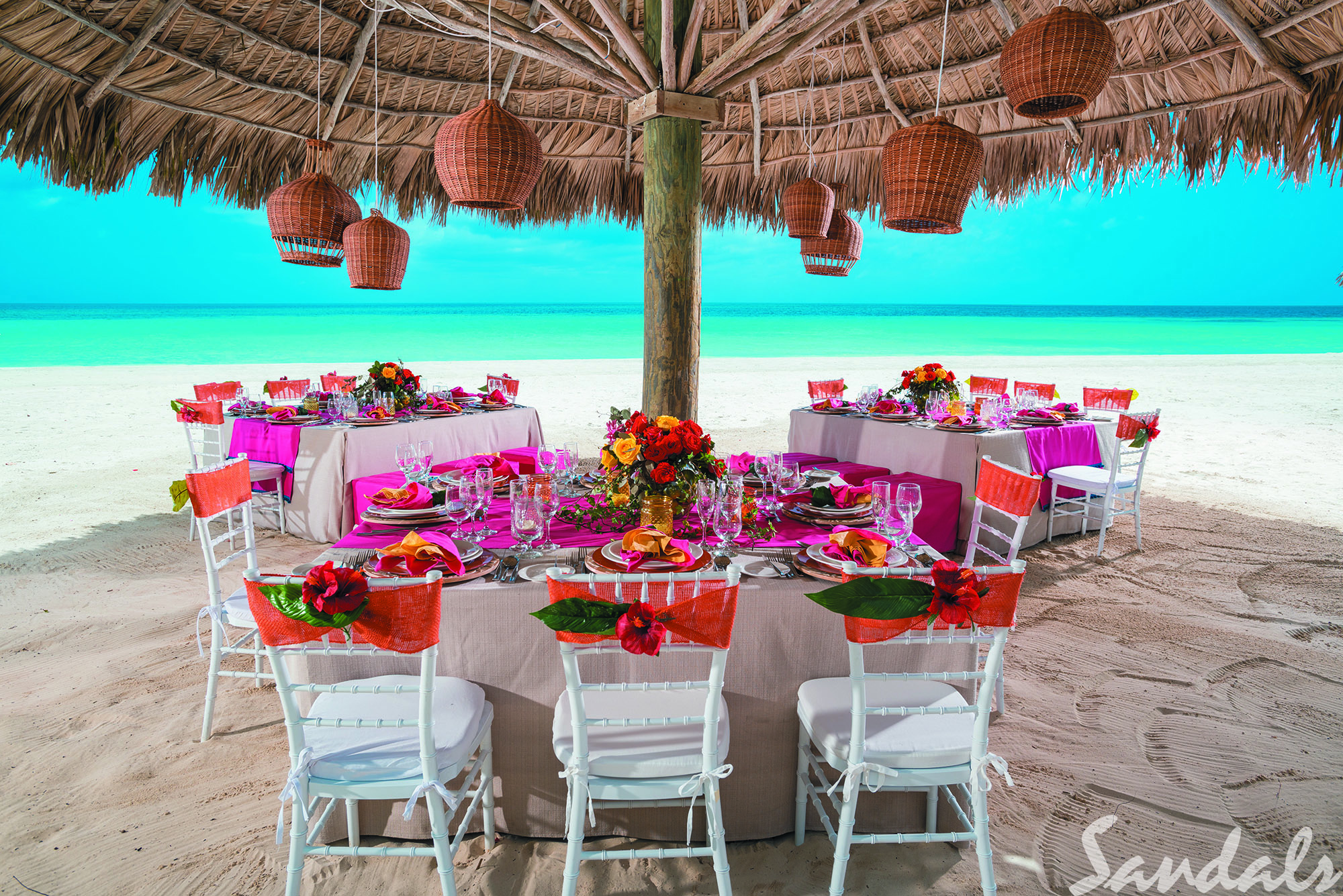 BNG_WHEN_IN_THE_TROPICS_RECEPTION_026_TRADE.jpg