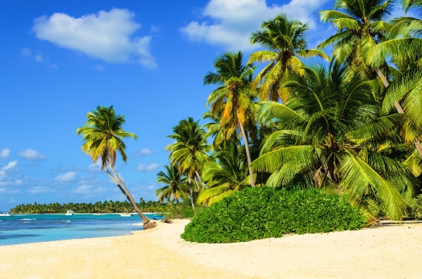 Jamaica Travel Guide