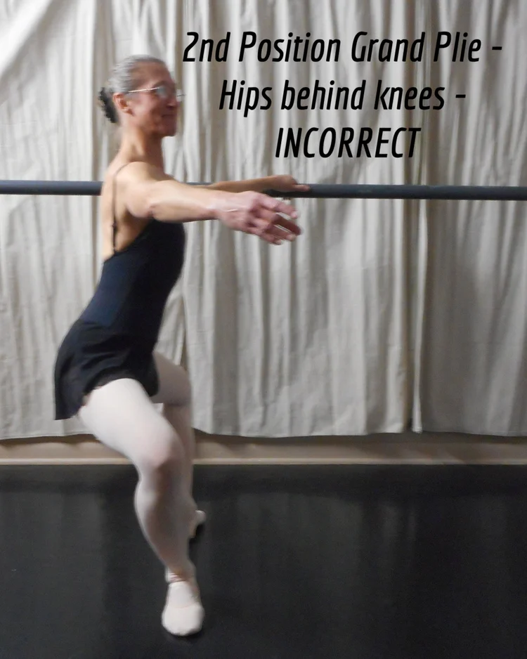 The Ups And Downs Of Demi And Grand Plies Front Range Classical Ballet Academy