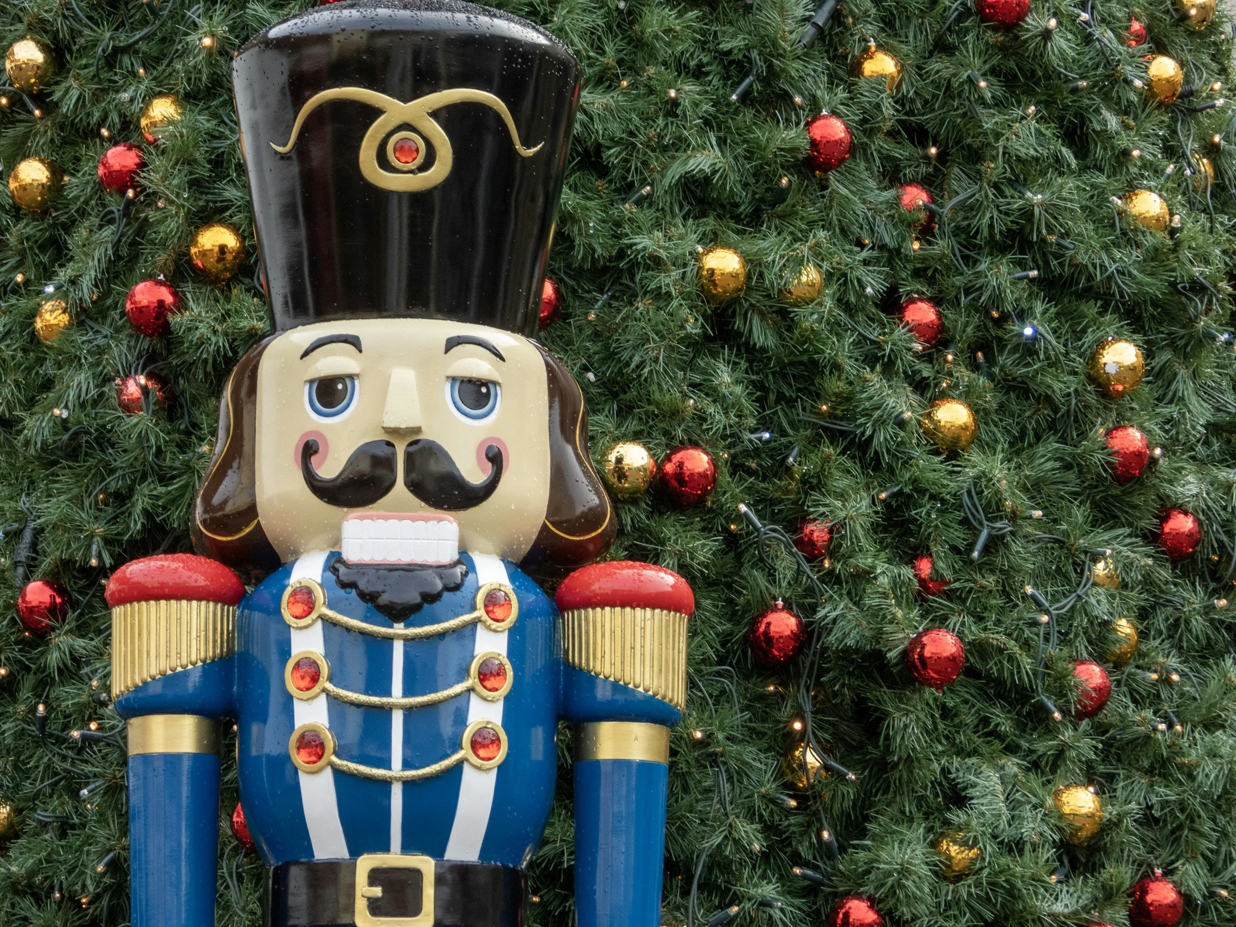 Nutcracker Informational Meeting