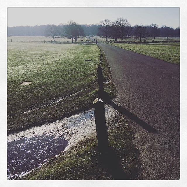 Saturday morning cycle - definitely fresh - by the time I took this photo, sun had melted this part of frost in Richmond Park. Was Stunning! /
/
/
/
/
#saturdaymorningcycling #cycle #blueskies #richmondpark