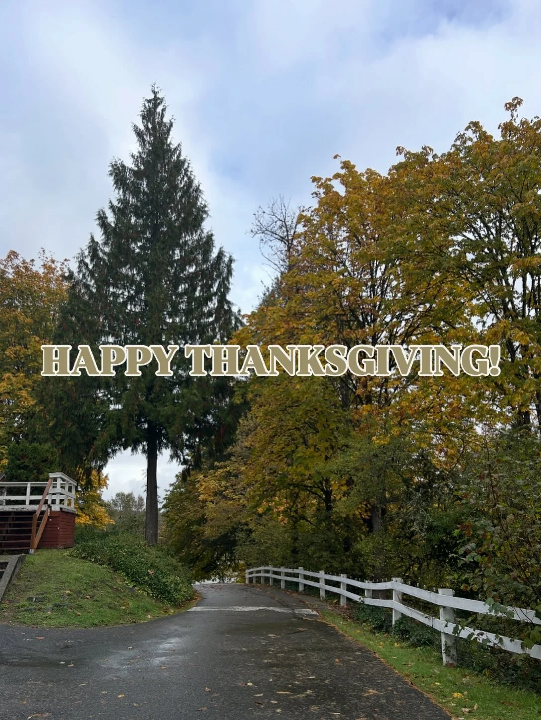 From Camp Gilead, have a wonderful Thanksgiving! 🍂 &ldquo;Therefore, as you received Christ Jesus the Lord, so walk in him, rooted and built up in him and established in the faith, just as you were taught, abounding in thanksgiving.&rdquo; - Colossi