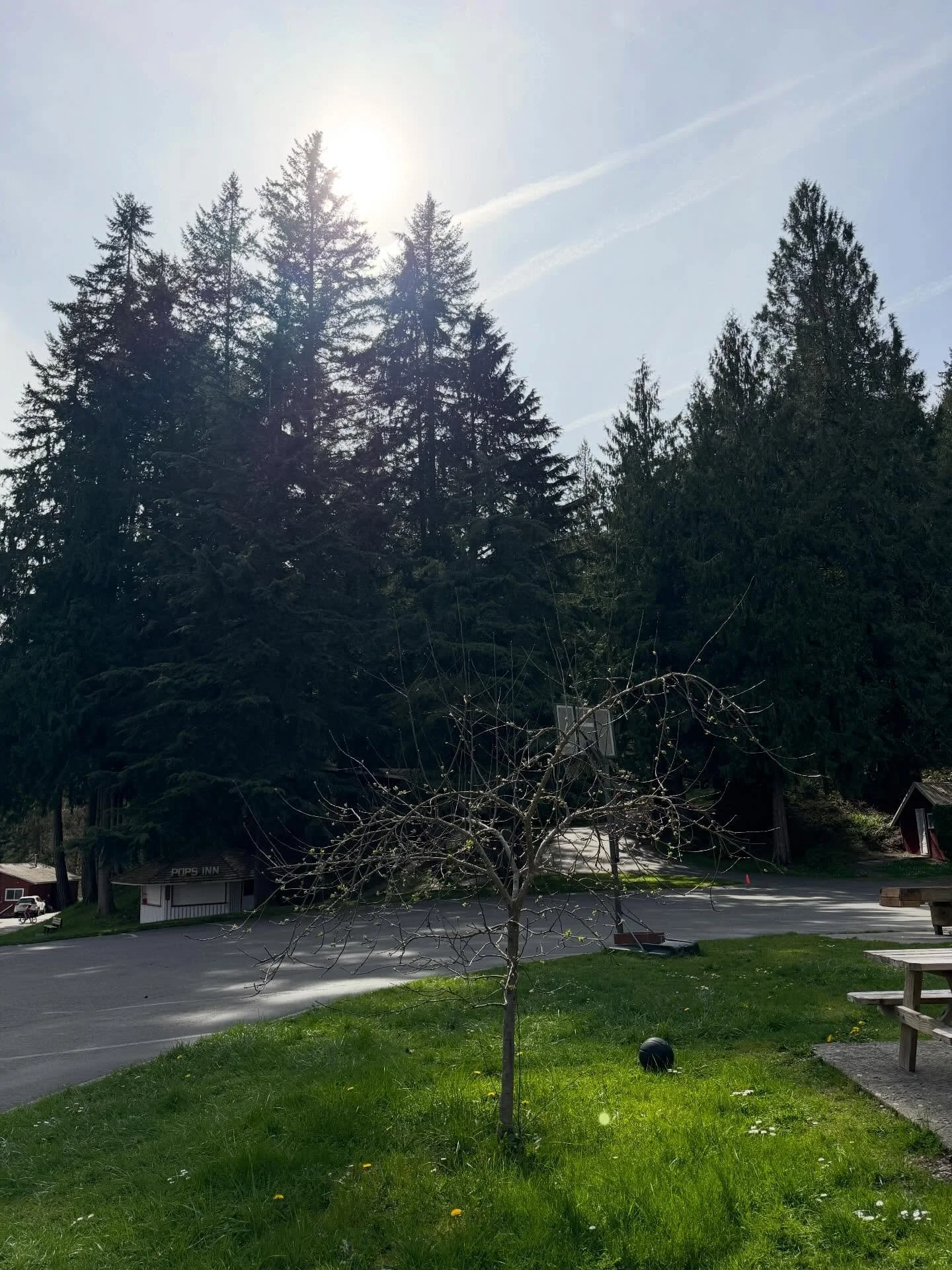 He is risen indeed! ✨ Happy Resurrection Sunday from Camp Gilead 🌿 &ldquo;Blessed be the God and Father of our Lord Jesus Christ! According to his great mercy, he has caused us to be born again to a living hope through the resurrection of Jesus Chri