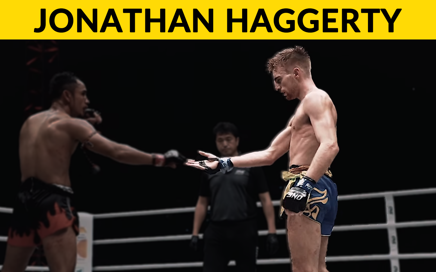 Haggerty Header 3.png