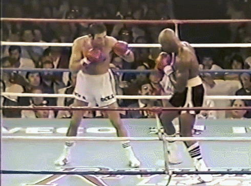 Hagler Triangle 1.gif