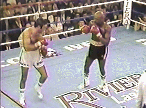 Hagler Triangle 2.gif