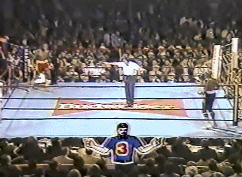 Hagler Stance Round Start.gif