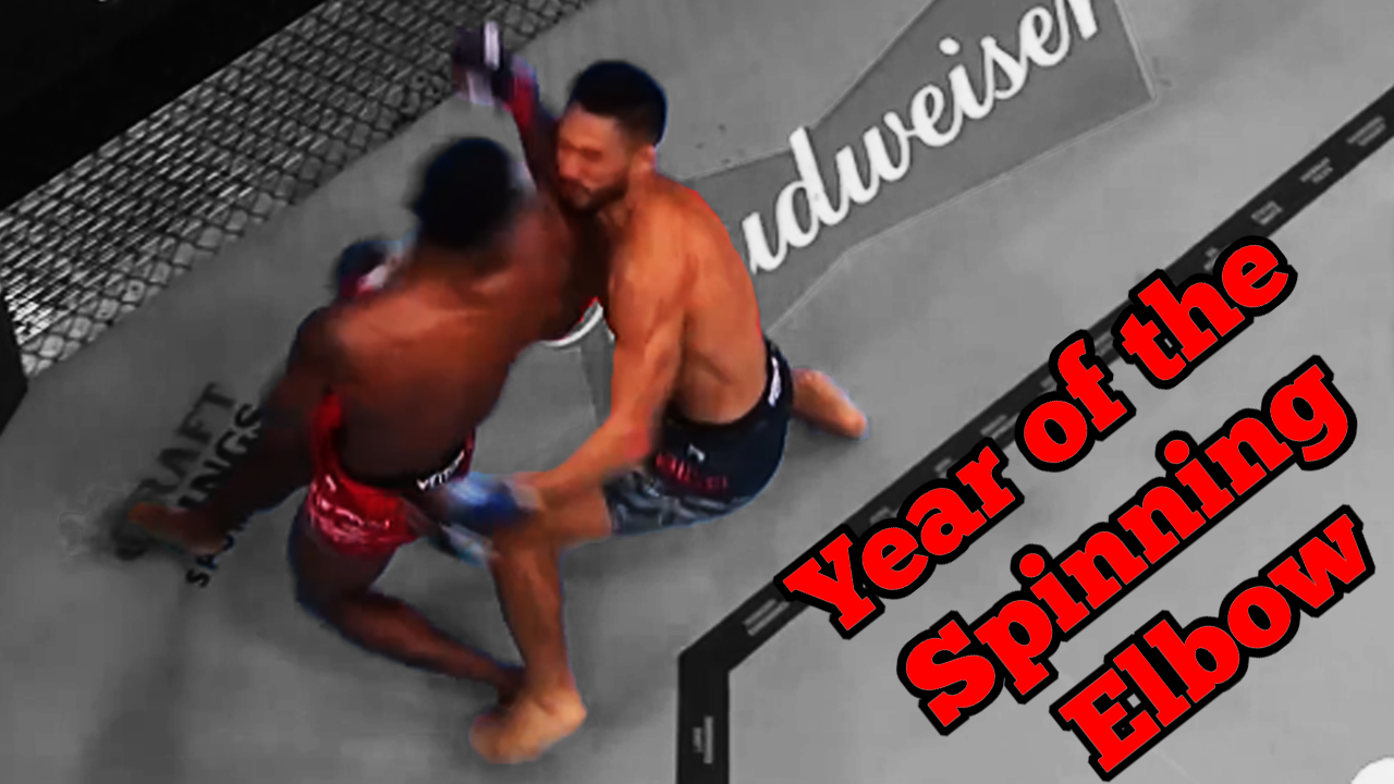 Year of the Spinning Elbow