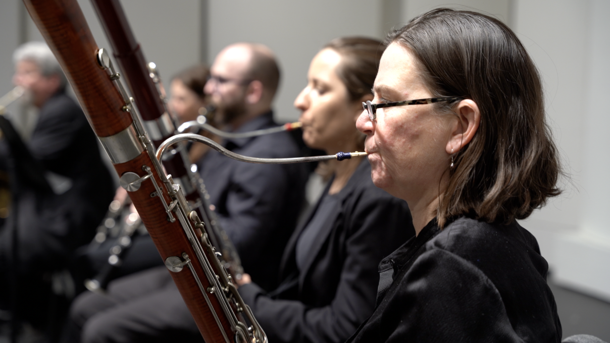 The People in the Back - Lowell Chamber Orchestra