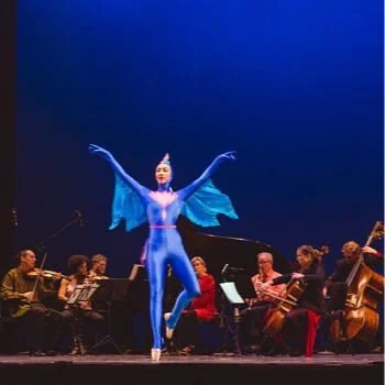 Animal Adventures - Worcester Chamber Music Society