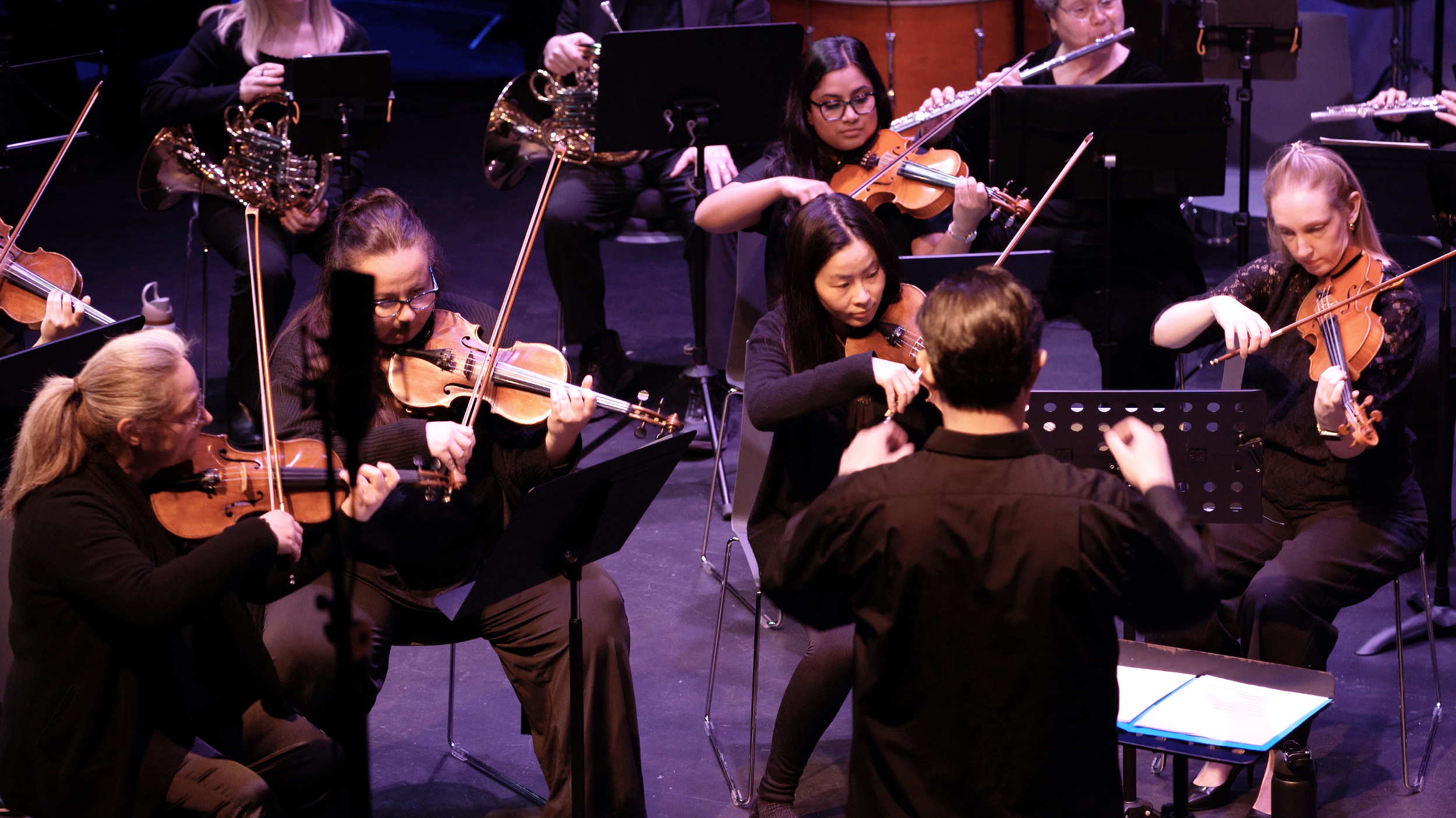 Blissful Insolence - Lowell Chamber Orchestra