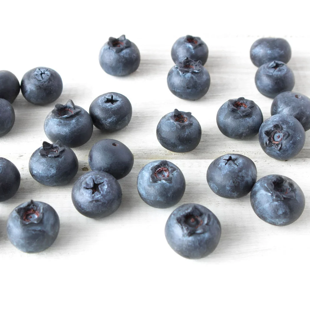 blueberries-models-olivia-vellani.jpg