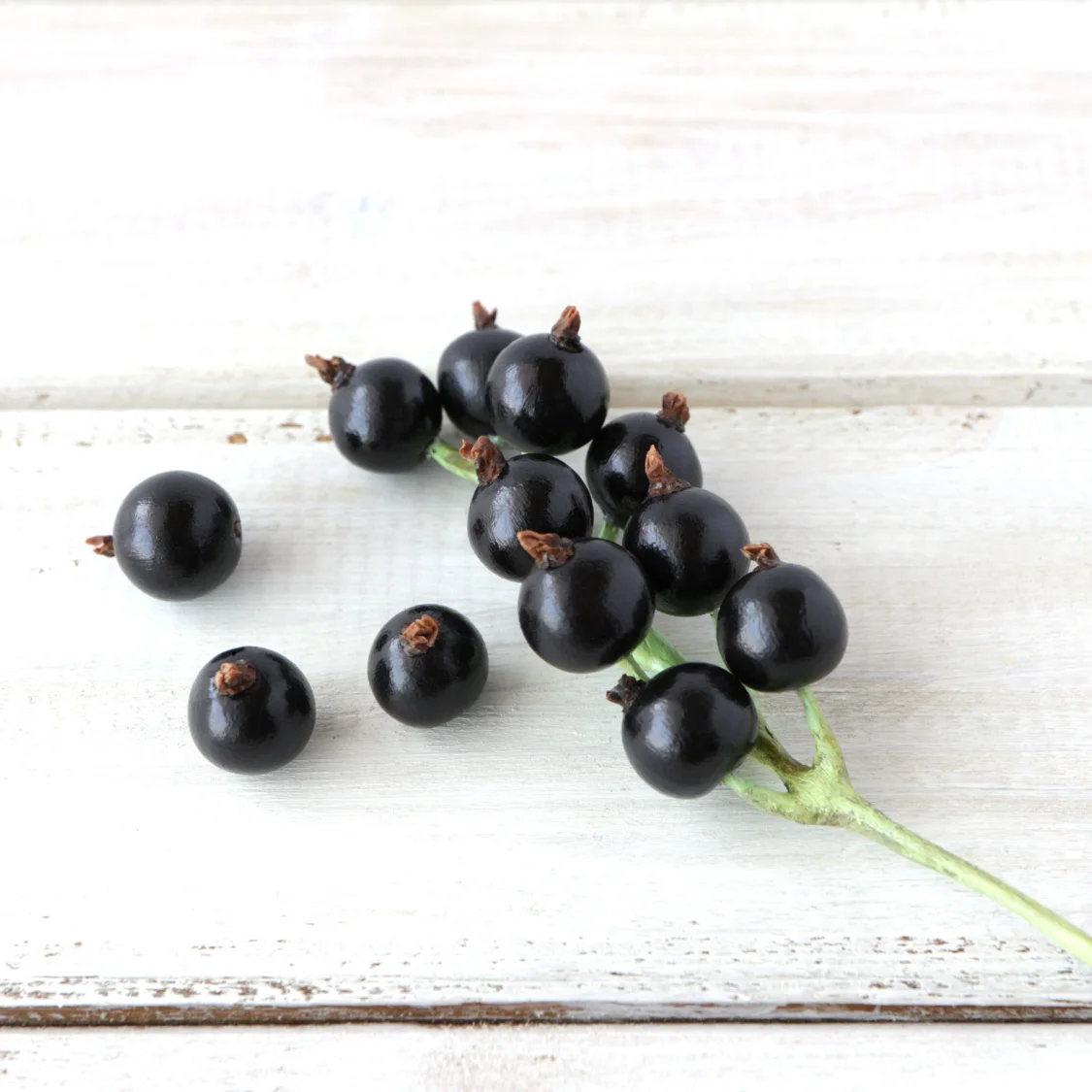 black-currants-models-olivia-vellani.jpg