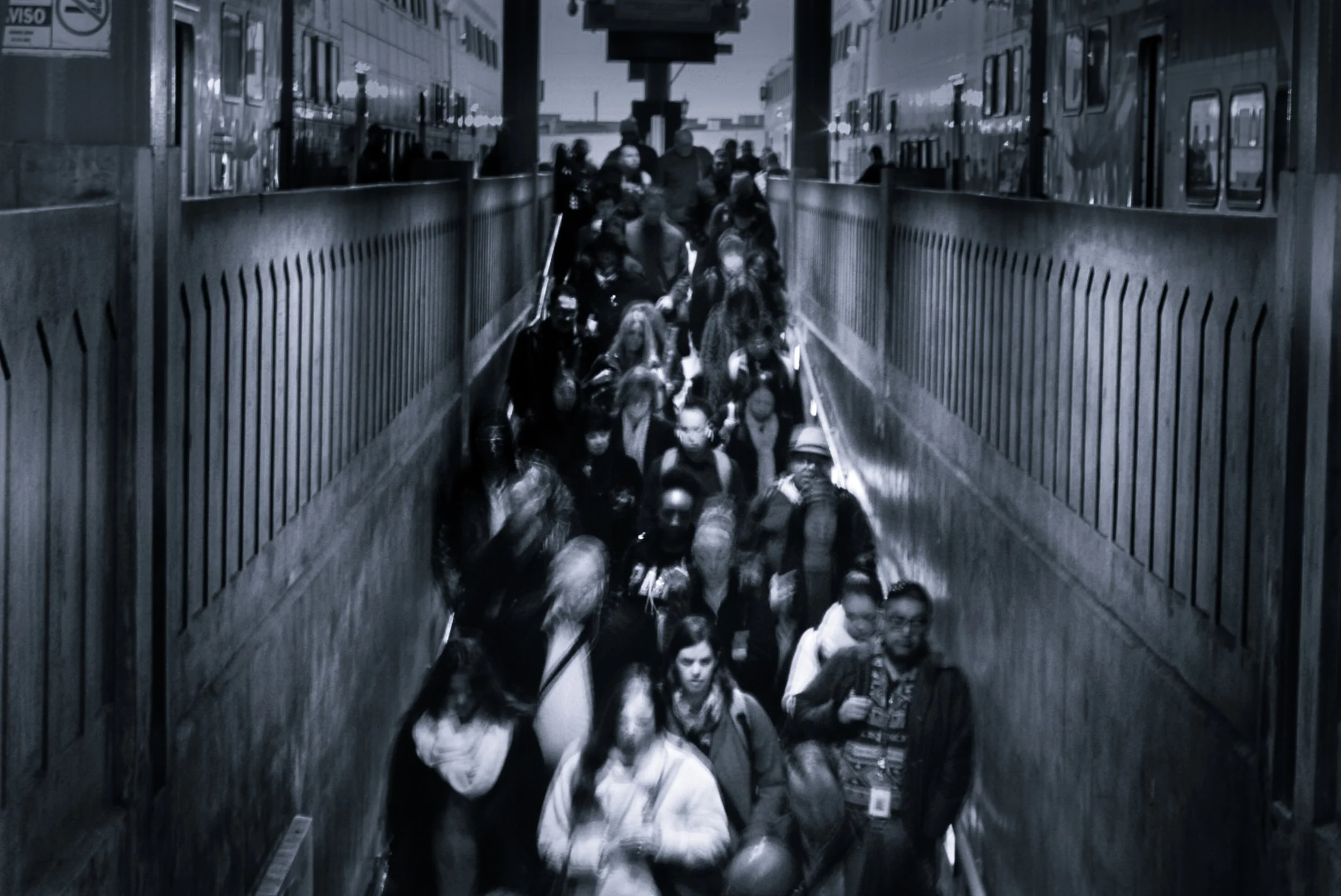 LRG__DSC0722.jpg