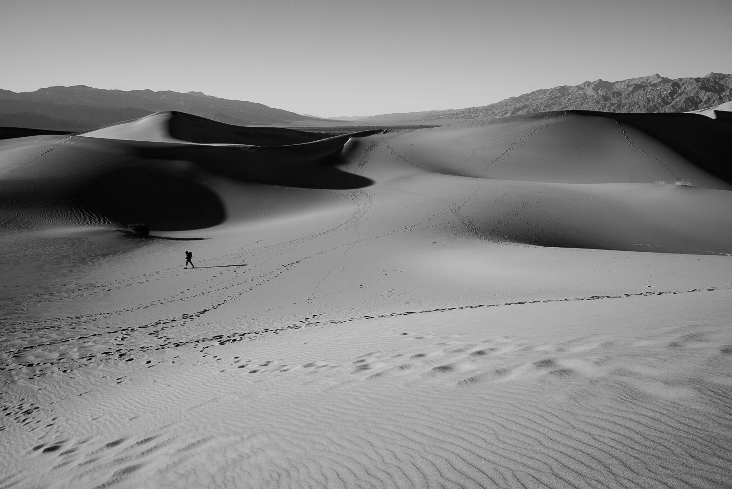 _DSC0854.jpg