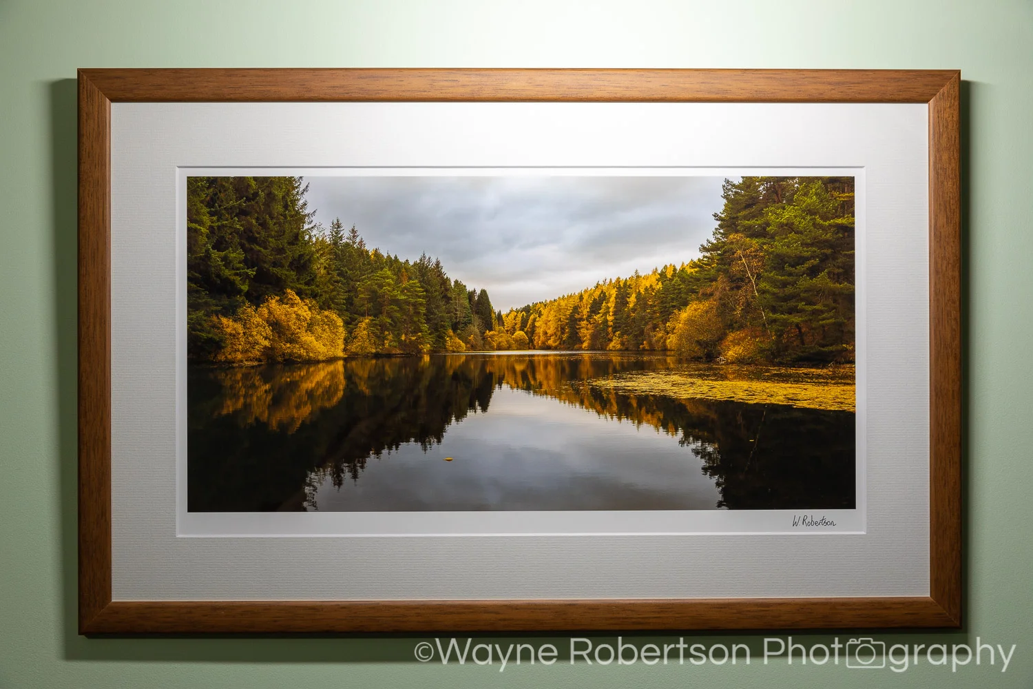 Framed Image-1.jpg