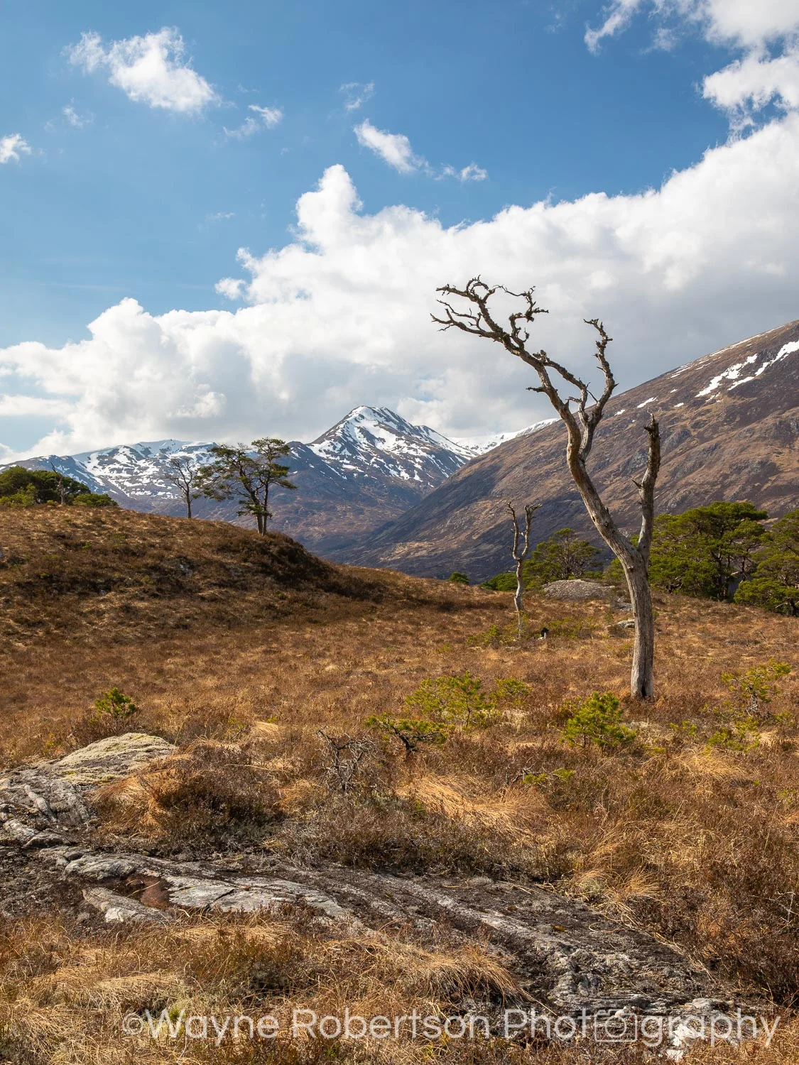 Landscape-92.jpg