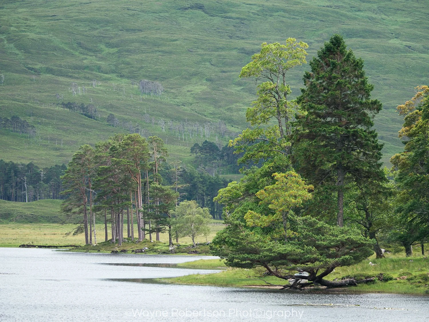 Landscape 1.jpg