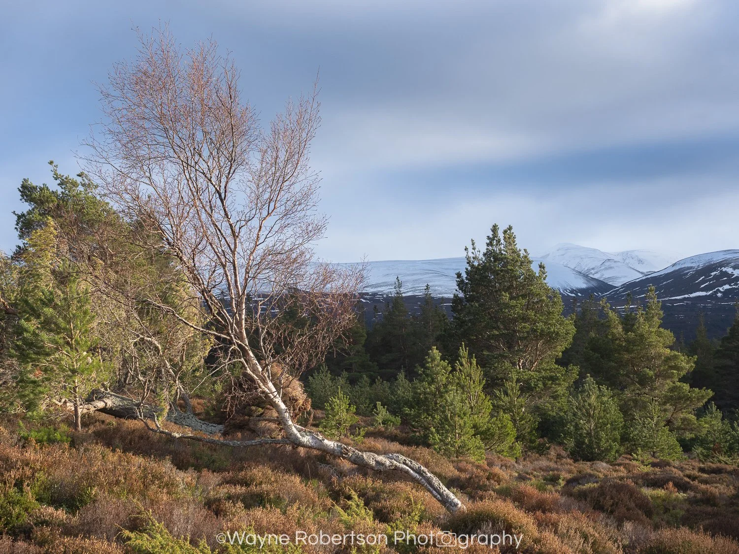 One of my landscape photographs captured on my OM SYSTEM OM-5 Mark II.