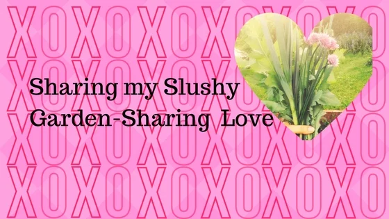 Valentines Blog.jpg