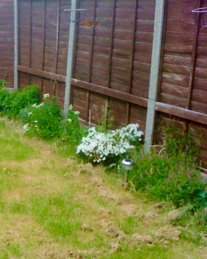 Hello! Welcome to the newest garden sharing website, Lend and Tend