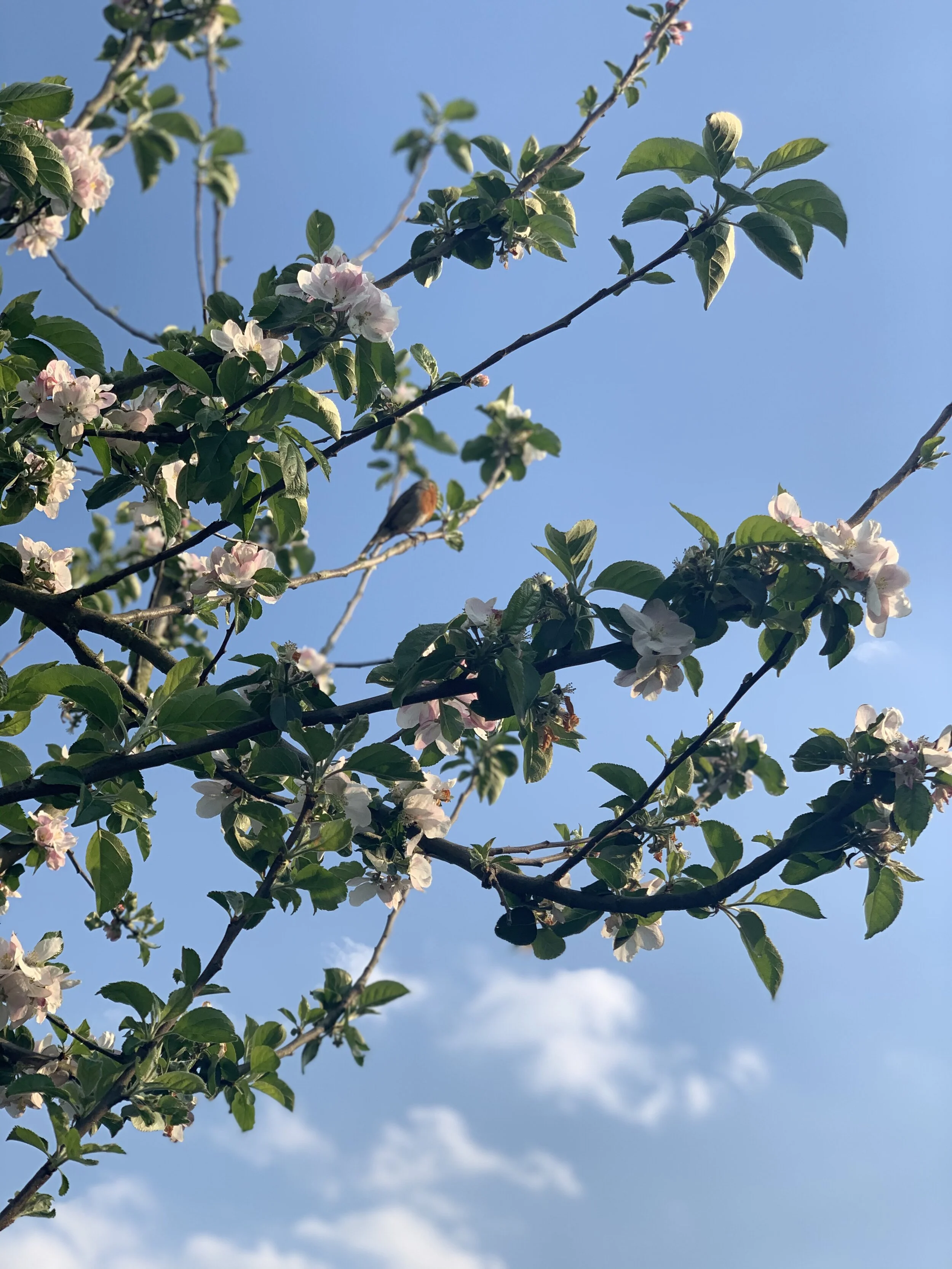 A shower of gratitude from me to you.