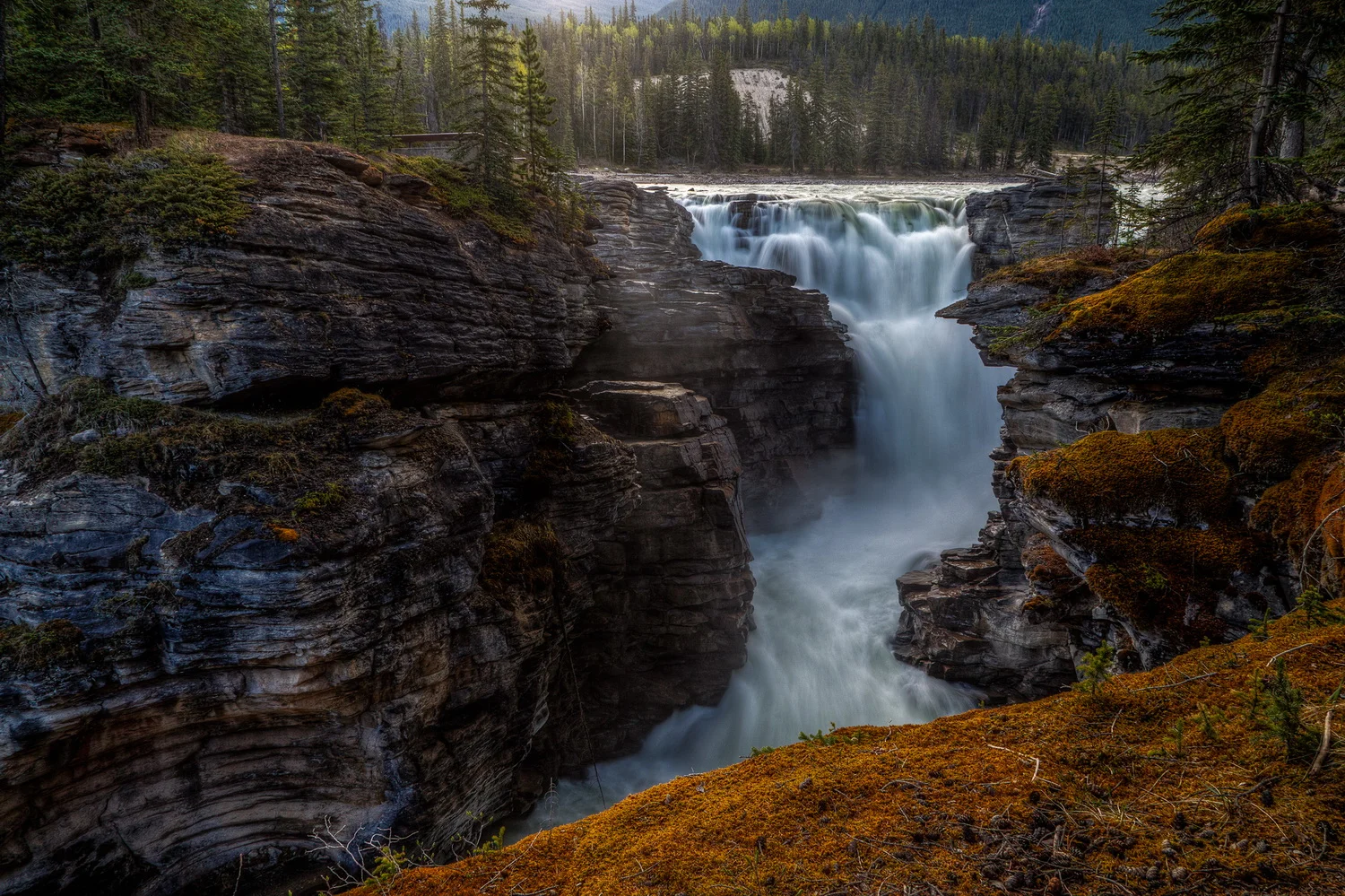 athabasca-falls-3.jpg
