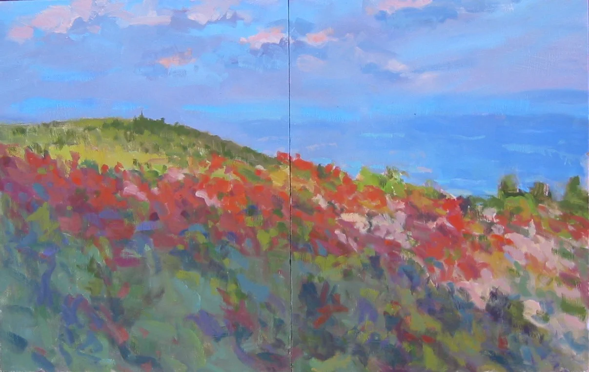 Beagle Gap, 2-12x16's dyptich.jpg