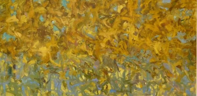 Yellow, Glow 30x60 oil on canvas 

 

 The hickory trees in the woods change to a brilliant yellow in the fall.  It only lasts for a short period of time as they slowly become a beautiful red rust.  The woods glow. 
