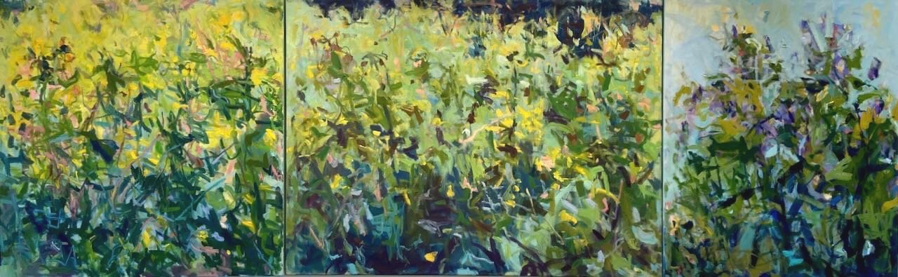 Green Meadow, Field Series 30x30, 30x40, 24x30 oil