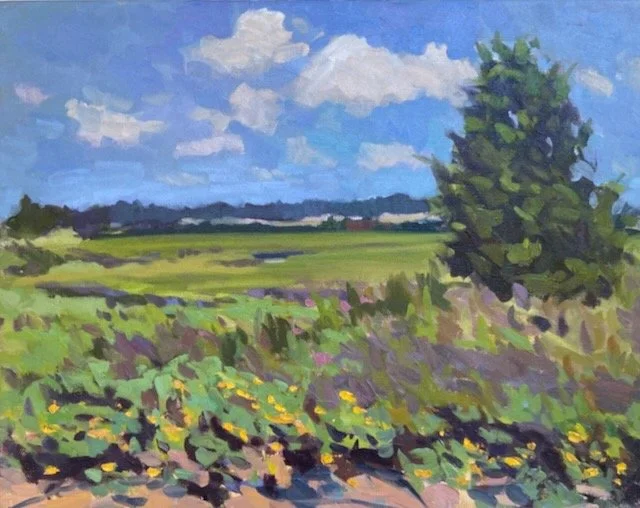 August Sky, Marsh 16x20