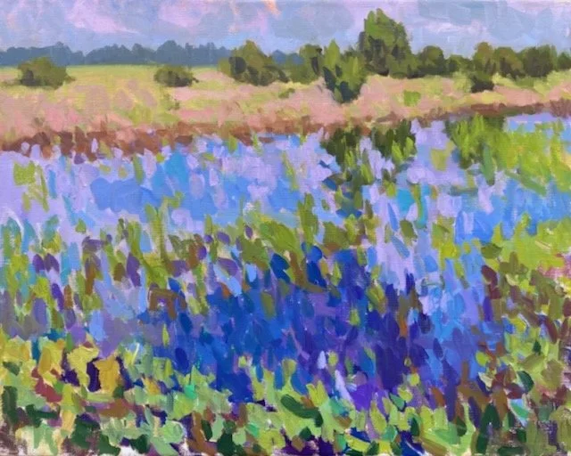 Pond, Summer Cedars 16x20 oil on linen