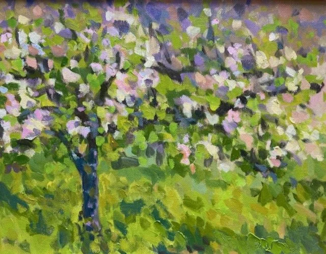 Spring, Apples, Bloom 11x14