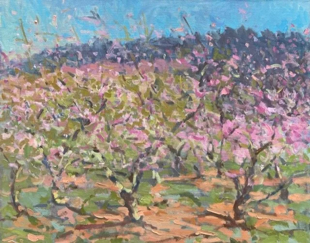 Chiles Orchard, Peach Trees in Bloom 20x24