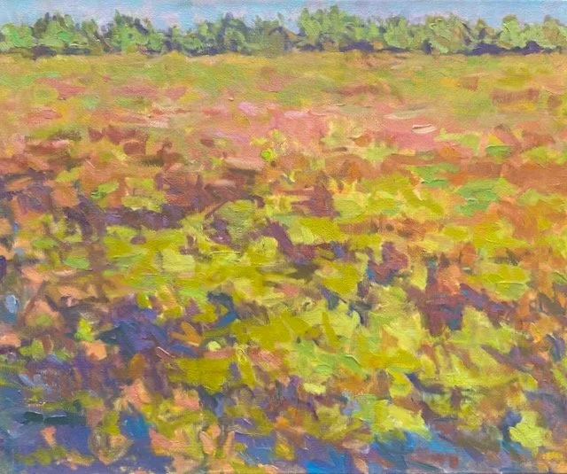 Soybeans, Fall 16x20