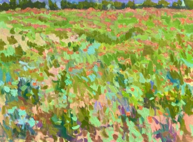 Poppies, Pinks