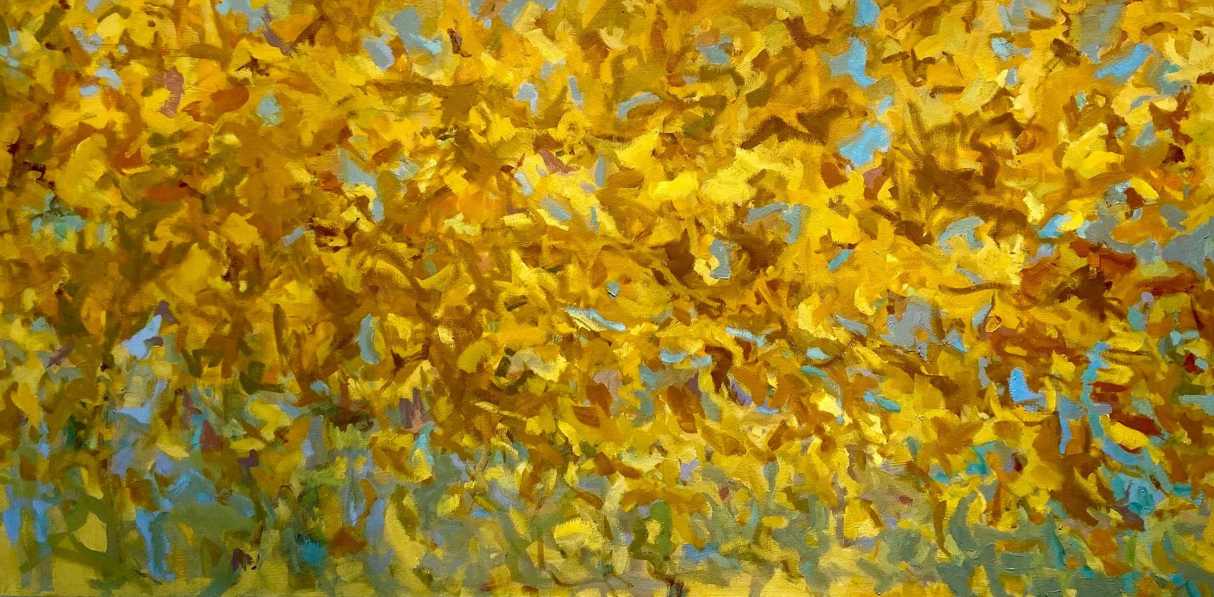 Yellow, Glow  30x60 oil