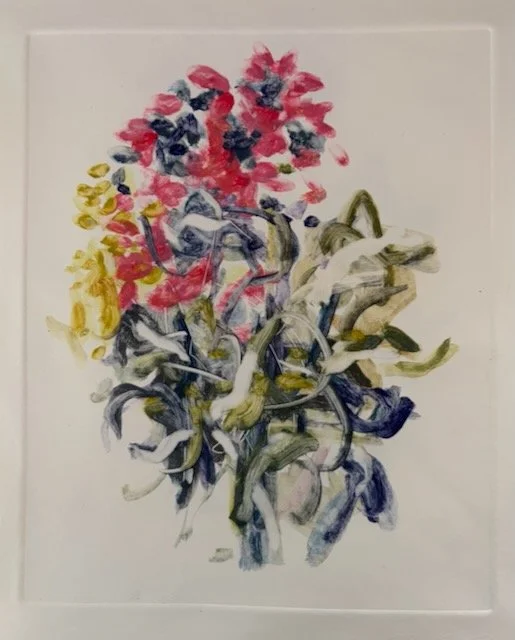 Phlox, Pinks 8x10 