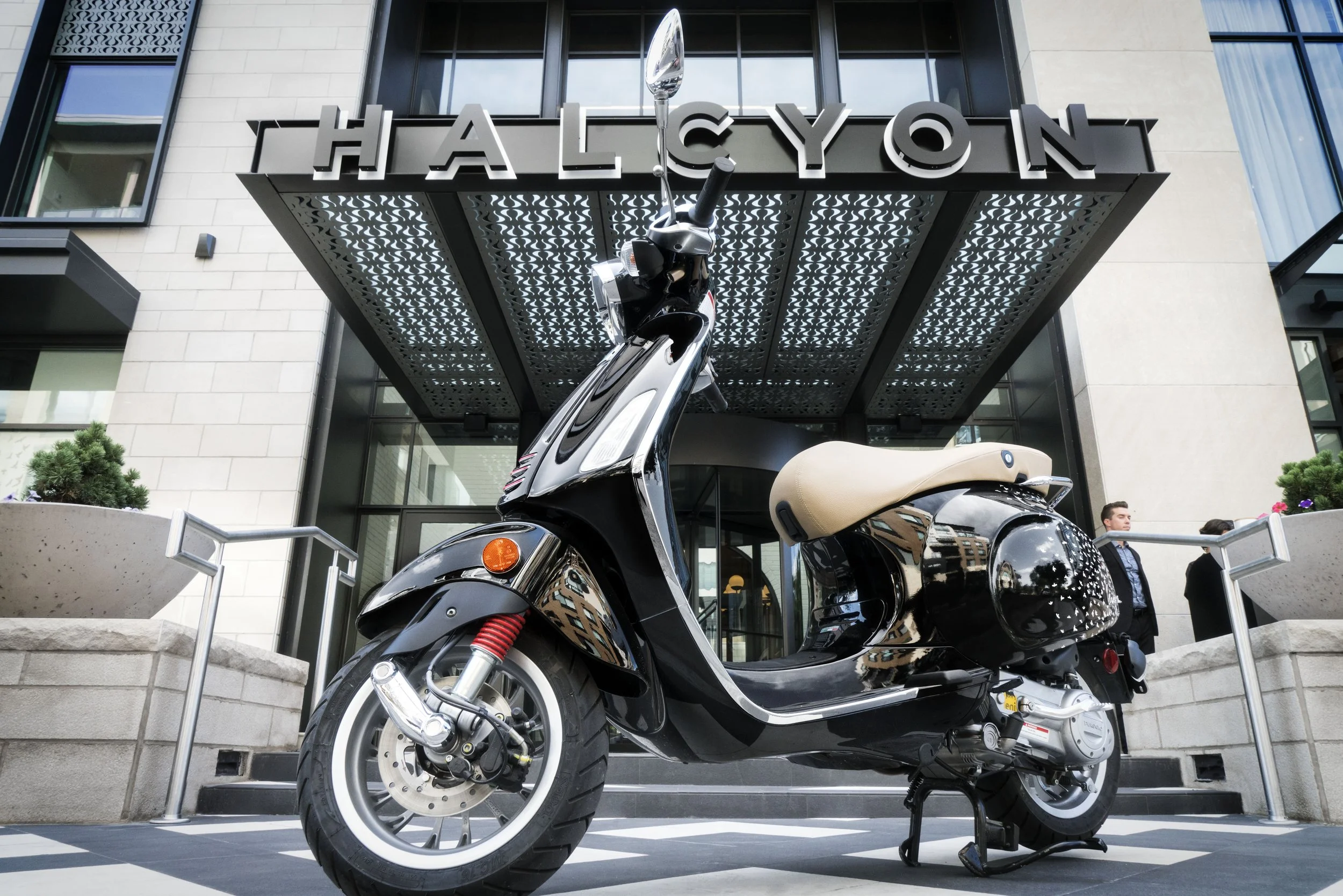 Bordwin_Sage_Halcyon_9796.jpg
