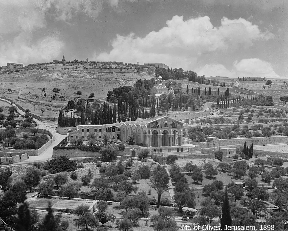 About — Palestine Museum US