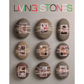living_stones_poster_sm.jpg