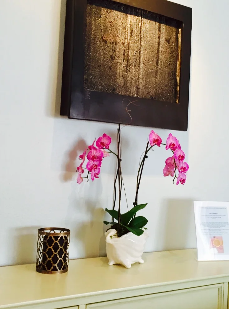 Organic Skin Care Lounge & Eyelash Extensions Santa Barbara