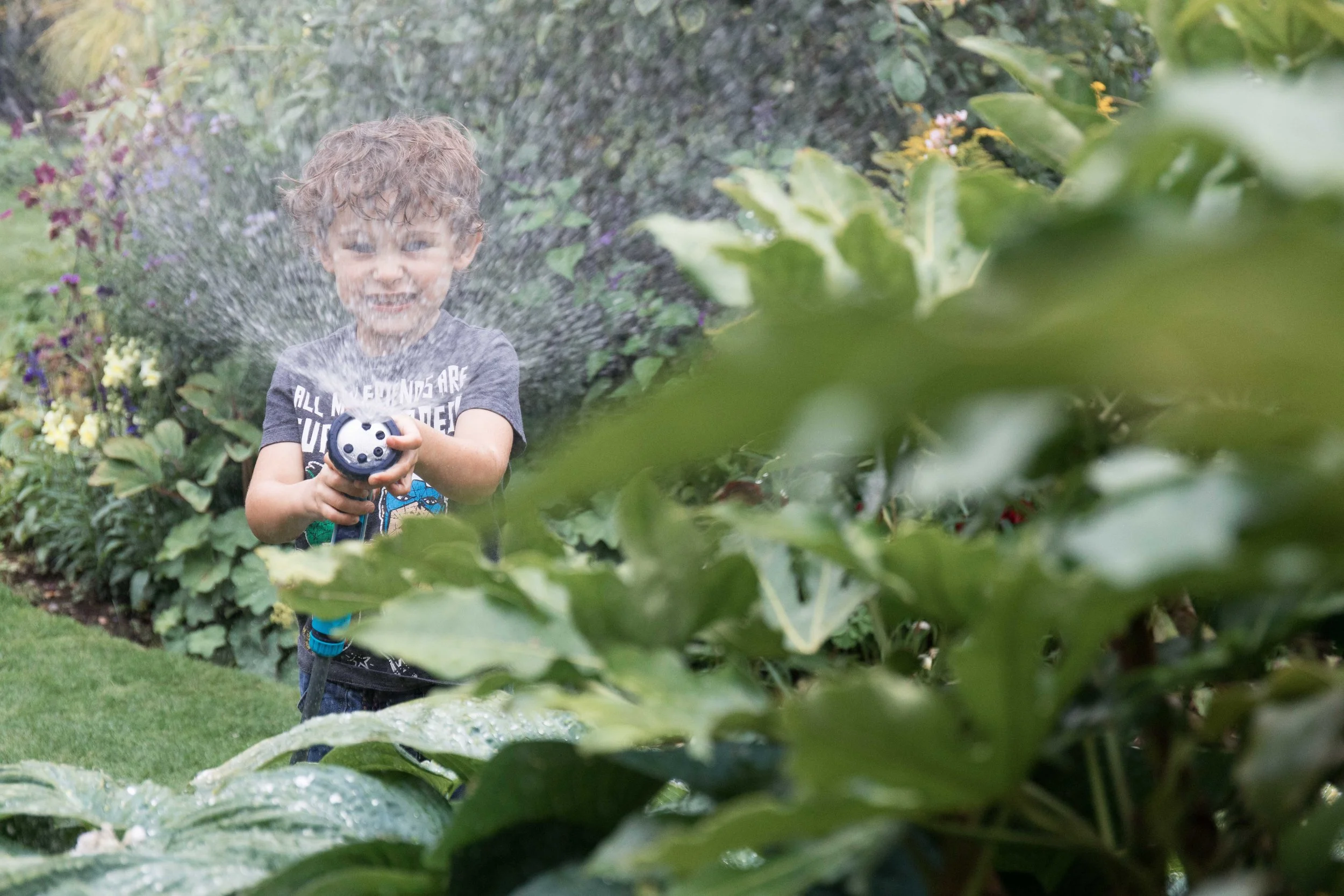 Westland jpgs WebsiteWESTLAND 0U9A1731-EXPOSURE.JPG