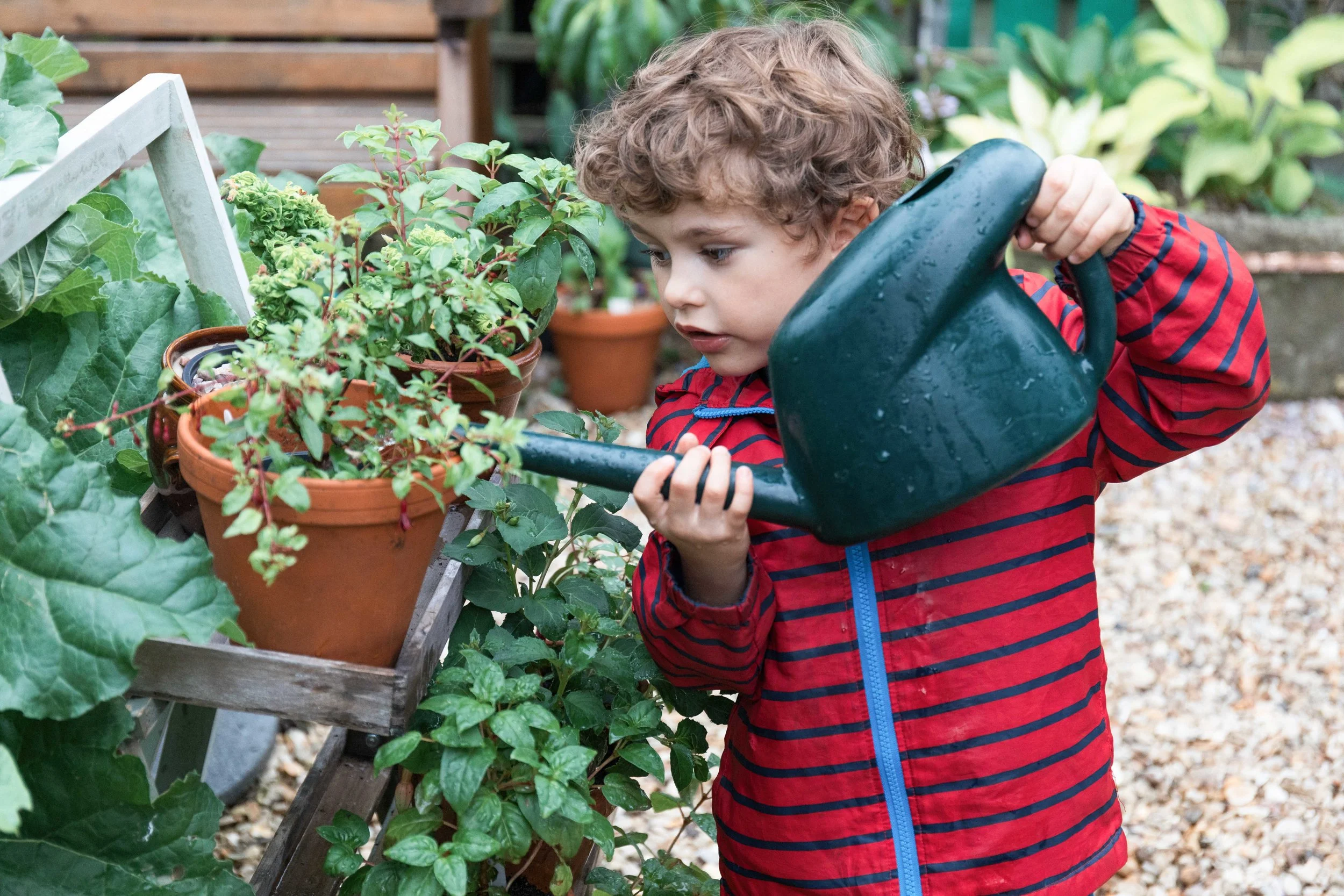 Westland jpgs WebsiteWESTLAND 0U9A1952-EXPOSURE.JPG