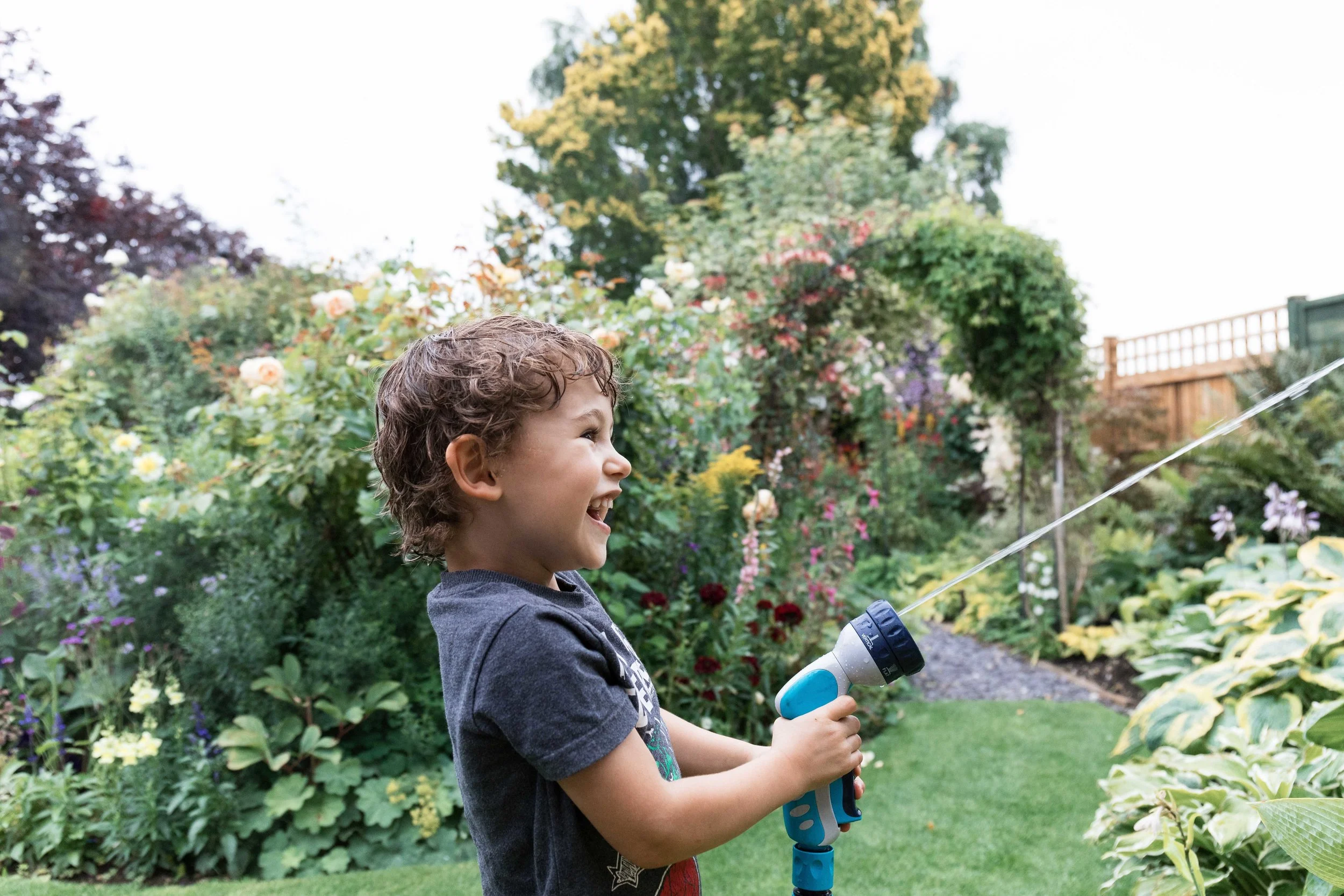 Westland jpgs WebsiteWESTLAND 0U9A1771-EXPOSURE.JPG