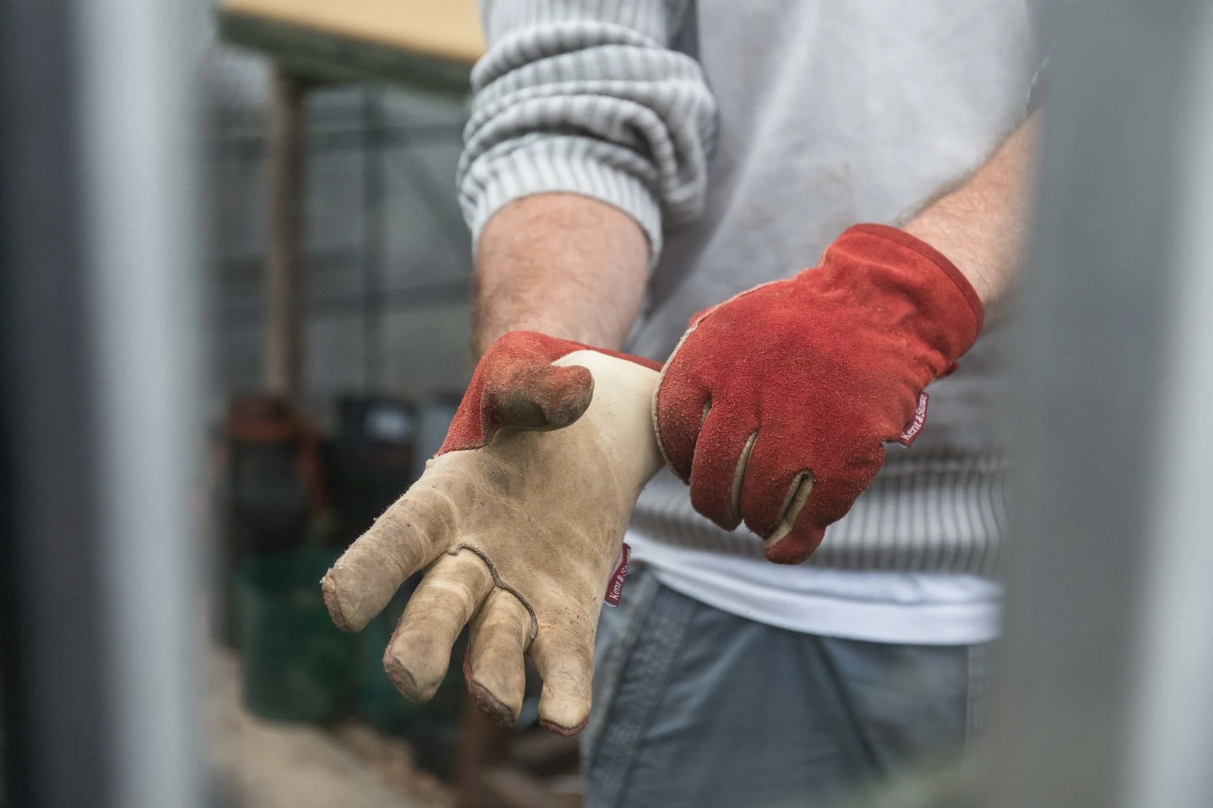 Westland jpgs WebsiteWESTLAND 0U9A2597-EXPOSURE.JPG