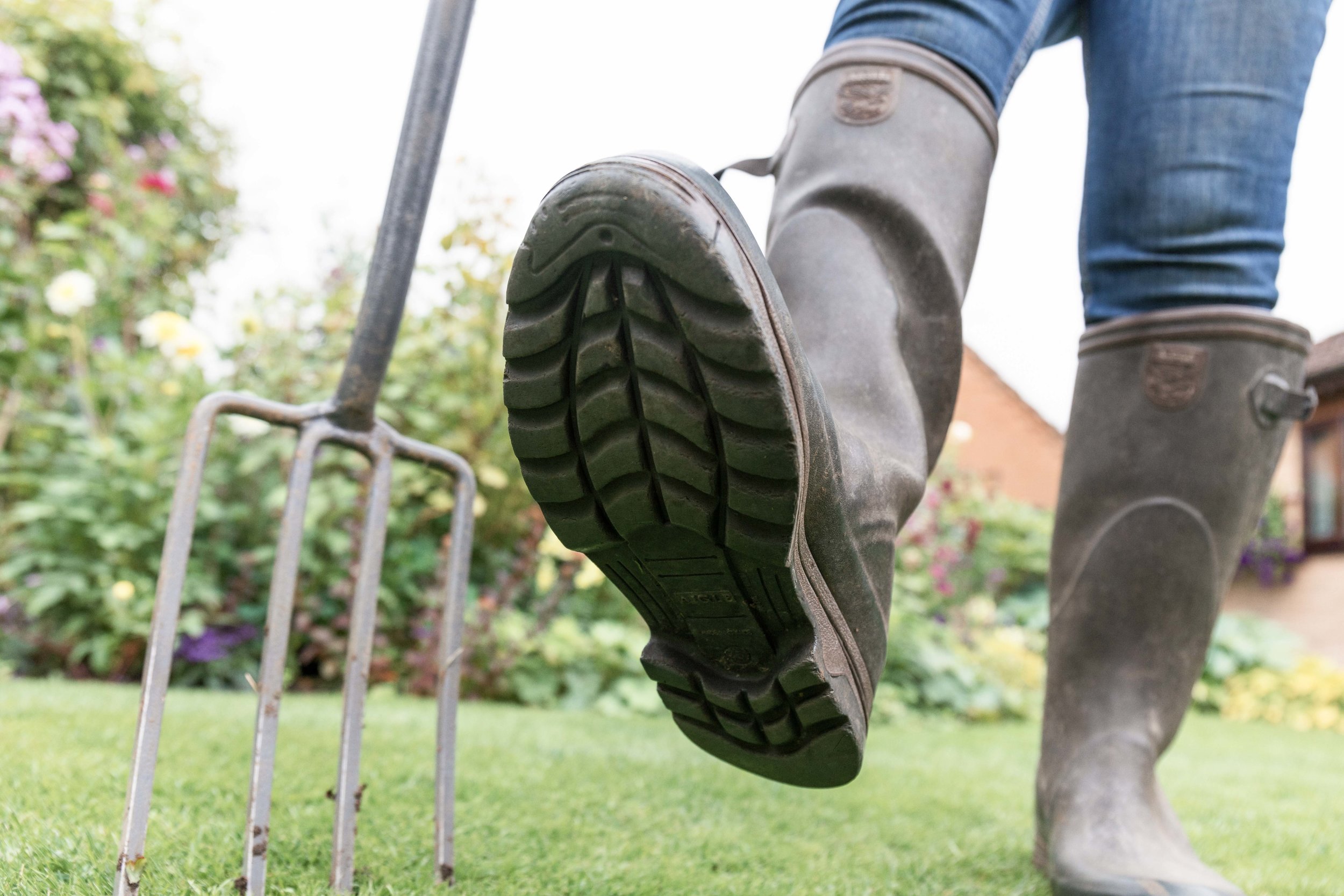 Westland jpgs WebsiteWESTLAND 0U9A2219-EXPOSURE.JPG