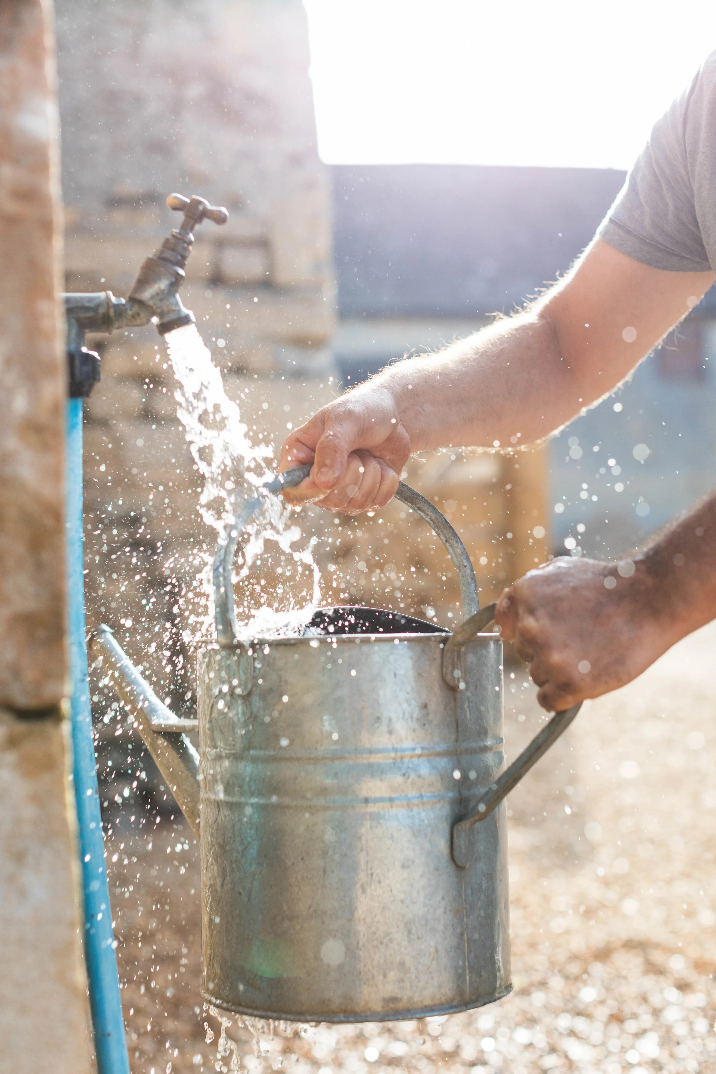 Westland jpgs WebsiteWESTLAND 159A0764-EXPOSURE.JPG