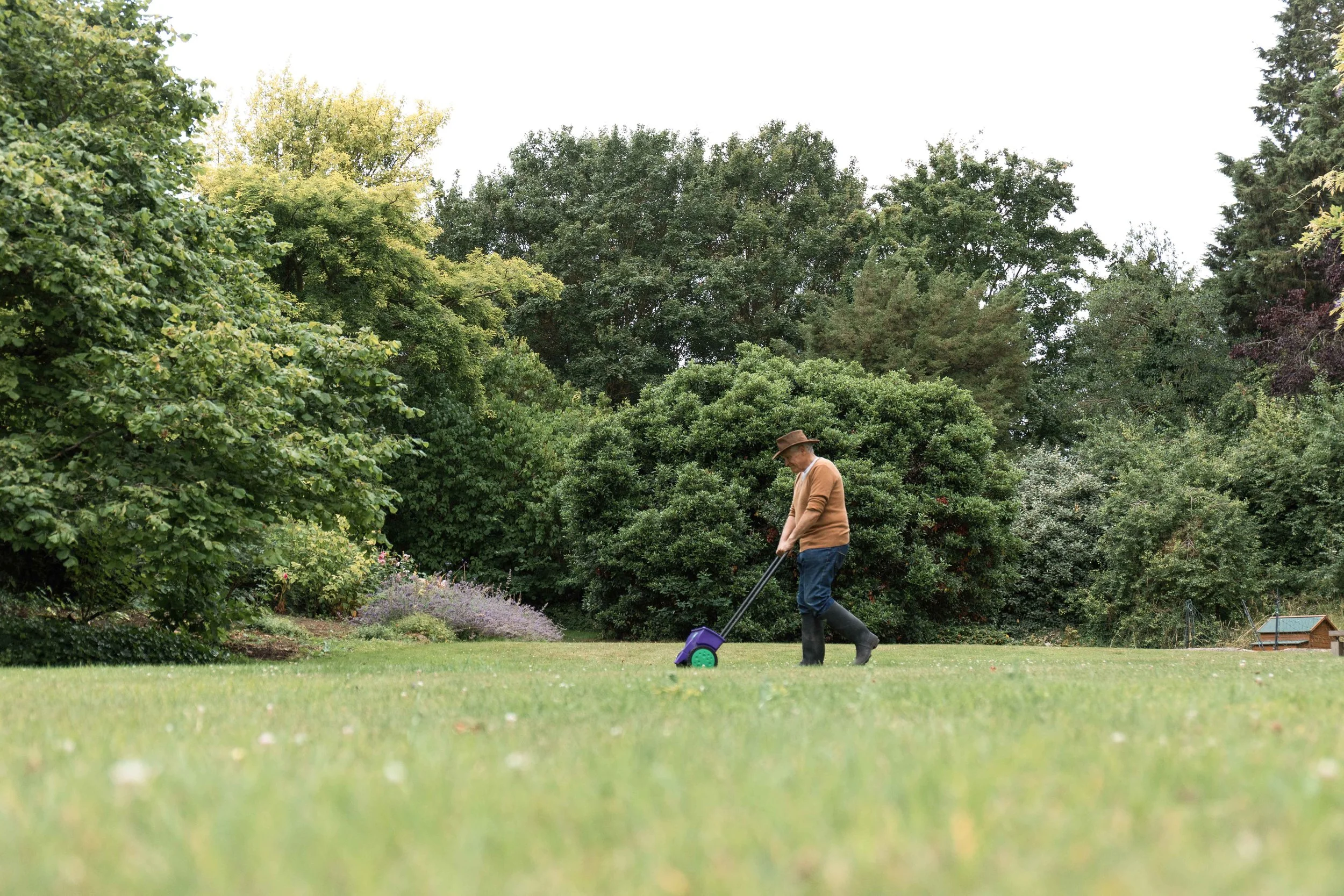 Westland jpgs WebsiteWESTLAND 159A1866-EXPOSURE.JPG